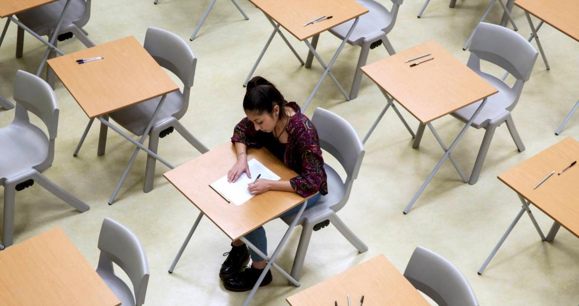 Espacio de trabajo profesional para seminarios de auditoría SEO